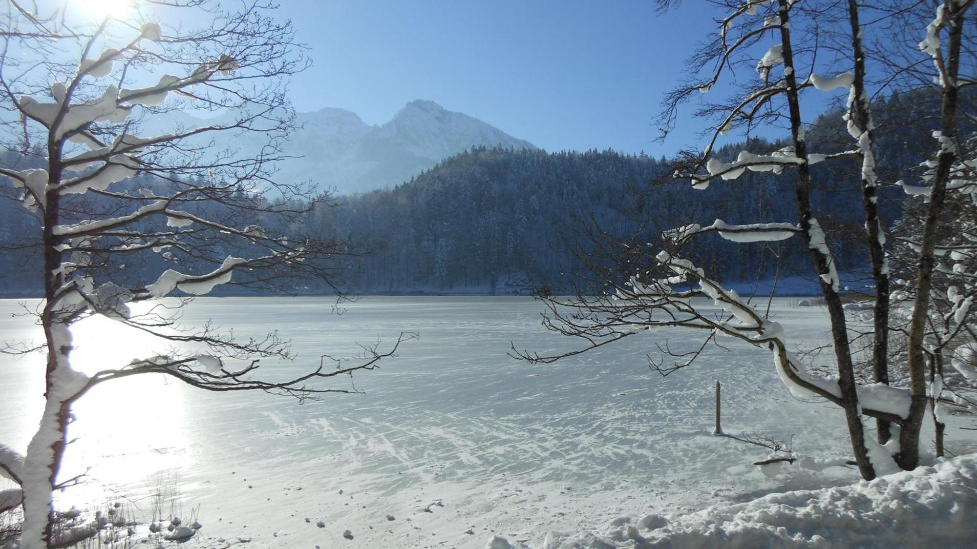 FW Weissensee 44 Füssen Exterior foto